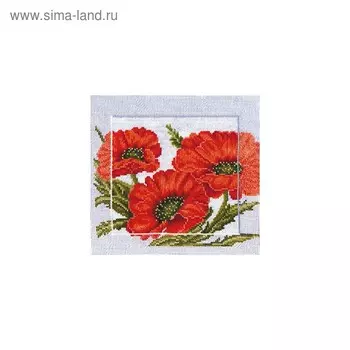 Набор для вышивания «Символы. Молодость»