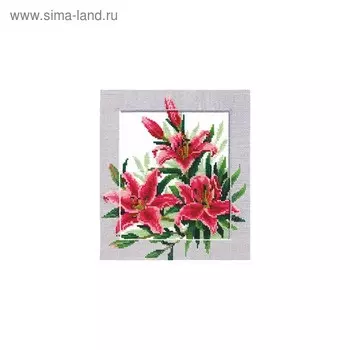 Набор для вышивания «Символы. Нежность»