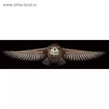 Набор для вышивания «Сова (Zweigart)»