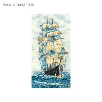 Набор для вышивания «Верь в удачу!»