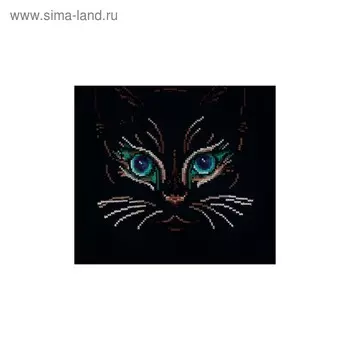 Набор для вышивания «Взгляд»