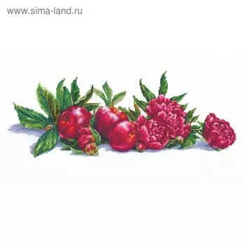 Набор для вышивания «Яблоки и пионы»