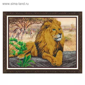 Набор для вышивки бисером «Царь зверей»