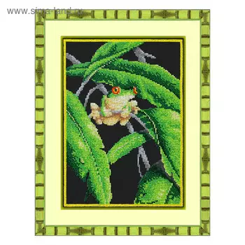 Набор для вышивки бисером «Древесная лягушка»