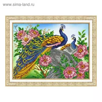 Набор для вышивки бисером «Павлины»