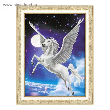 Набор для вышивки бисером «Пегас»