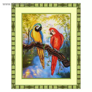 Набор для вышивки бисером «Попугаи»