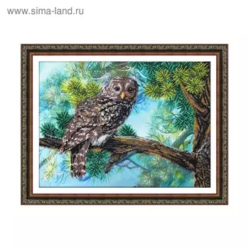 Набор для вышивки бисером «Серая сова»