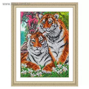 Набор для вышивки бисером «Тигры»