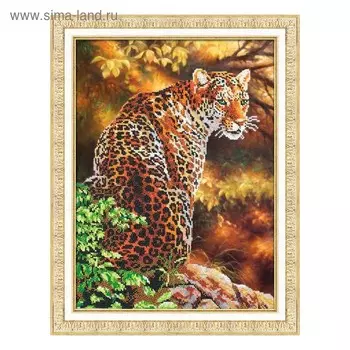 Набор для вышивки бисером «Ягуар»