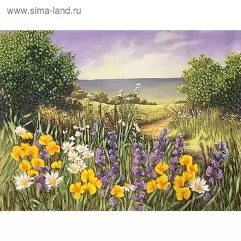 Набор для вышивки лентами «Луг»