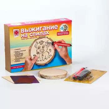 Выжигание по дереву на спилах «Сама скромность», набор для творчества