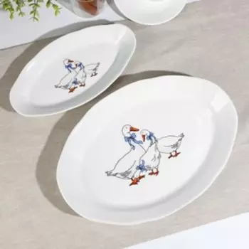 Набор для заливного «Гуси», 4 предмета