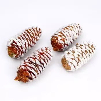 Набор еловых шишек «Отборные» 4 шт.