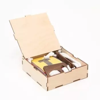 Набор головоломок "Синапсы", для развития логики и мышления, 5 штук