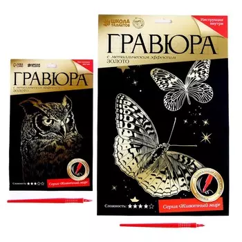 Набор гравюр «Сова и бабочки»