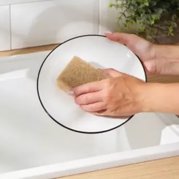 Набор губок для мытья посуды Raccoon «Ренессанс», 2 шт., 96.53.5 см, крупнопористый поролон, бежевый