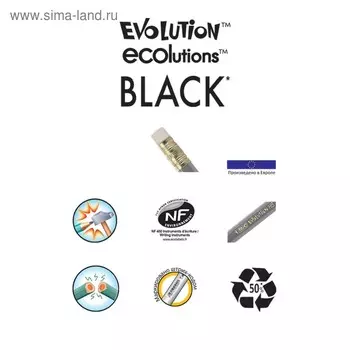 Набор карандашей чернографитных 3 штуки BIC "Evolution", НВ, пластиковый, с ластиком