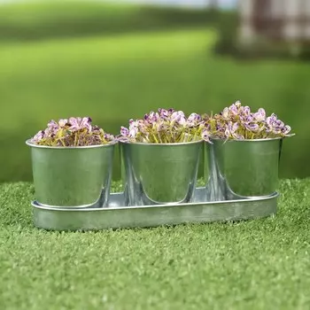 Набор кашпо на подставке «Ведерко Альма», 196.56.5 см