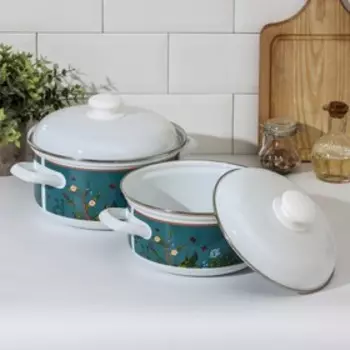 Набор кастрюль Доляна Garden, 2 предмета: 2 л, 3 л, индукция, цвет белый