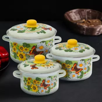 Набор кастрюль «Лето», 3 шт: 2 л, 3 л, 4 л