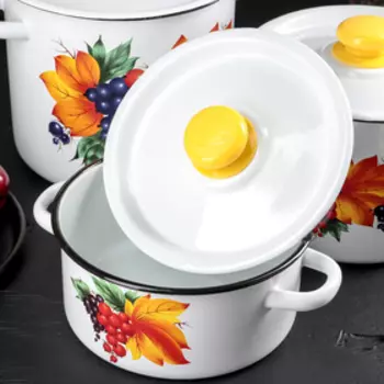 Набор кастрюль «Смородина», 3 предмета: 2 л, 3,5 л, 5,5 л, эмалированные крышки, индукция