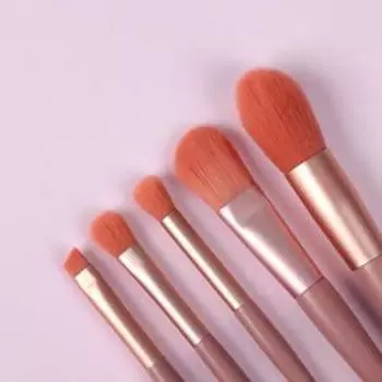 Набор кистей для макияжа «Парфе», 5 предметов, футляр на кнопке, цвет розовый/розовое золото