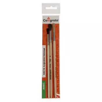 Набор кистей Микс 3 штуки, Calligrata №4 (круглые: Белка № 3, Пони № 4; плоская Щетина № 6), деревянная ручка