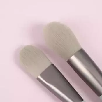 Набор кистей для макияжа «Парфе», 5 предметов, футляр на кнопке, цвет серый
