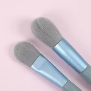 Набор кистей для макияжа «Парфе», 5 предметов, футляр на кнопке, цвет серый/голубой