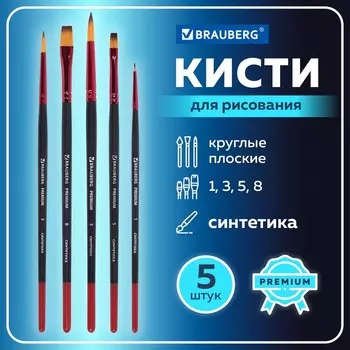 Набор кистей Синтетика 5 штук, BRAUBERG PREMIUM, круглые № 1, 3, 5; плоские № 5, 8