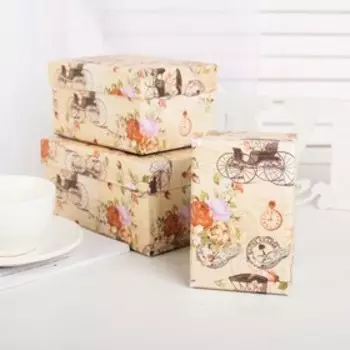 Набор коробок 10 в 1, 30 х 21 х 14,5 - 12 х 7,5 х 6,5 см