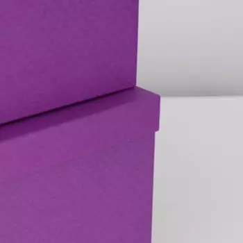 Набор коробок 10 в 1 "Пурпурная сетка", 30,5 х 20 х 13 - 12 х 6,5 х 4 см