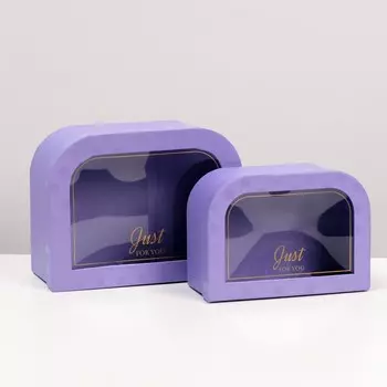 Набор коробок 2 в 1, 24 х 18,5 х 10 - 20 х 14,5 х 8,5 см