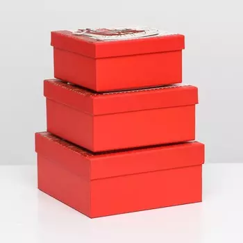 Набор коробок 3 в 1 15,5х15,5х7,5 — 18х18х8,5 — 20х20х9,5 см.