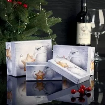 Набор коробок 3 в 1, 16 х 12 х 6,5 - 12 х 8,5 х 5 см