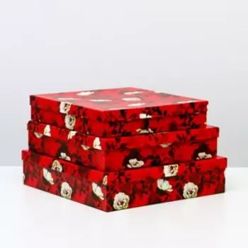 Набор коробок 3 в 1 "Белый шиповник", 30,5 х 30,5 х 7 - 26 х 26 х 5 см