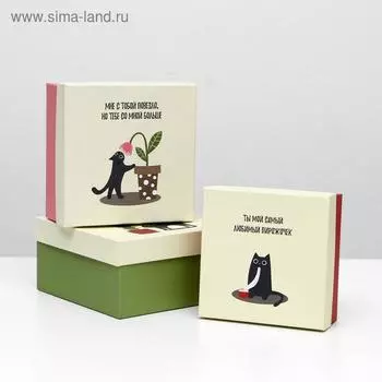 Набор коробок 3 в 1 "Котики - обормотики", 19 х 19 х 9,5 - 15,5 х 15,5 х 6,5 см