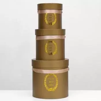 Набор коробок 3в1, цвет медный, 20х20х20 см