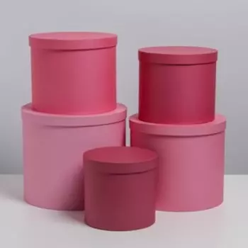 Набор коробок 5 в 1 «Розовый», 13 × 13,5‒19.5 × 23 см