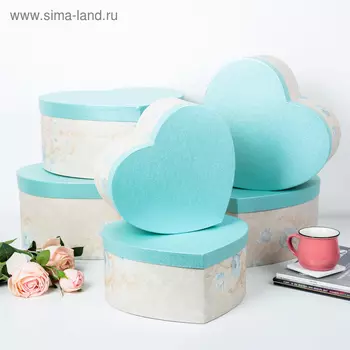 Набор коробок 6 в 1, 36 х 33 х 17 - 26 х 23,5 х 12 см