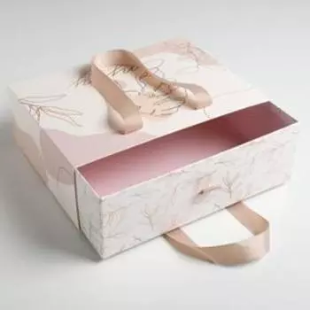 Набор коробок подарочных 2 в 1 «Нежность», 22 × 15 × 8 см, 30 × 22 × 10 см