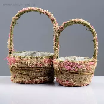 Набор корзин «Нежность», 2 шт, 20×12/32 см, 15×11/27 см, сухоцветы