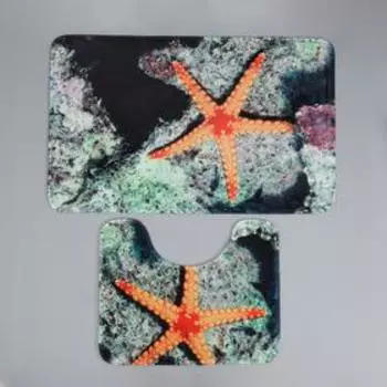 Набор ковриков для ванной и туалета Доляна «Морская звезда», 2 шт: 5080, 4050 см