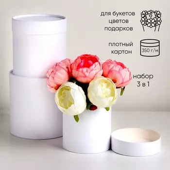 Набор круглых коробок 3 в 1, "Белый", 16х16, 14х14, 12х12 см