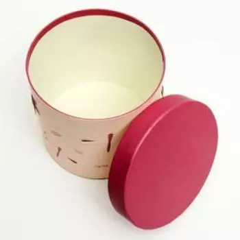 Набор круглых коробок 3 в 1, "Оранжевая стрекоза", 19.5 x 19 - 15.5 x 15 см