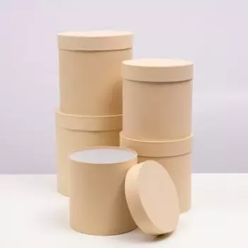 Набор круглых коробок 5 в 1 "Краски", кремовый, 25 х 25 х 25 - 19 х 19 х 19 см