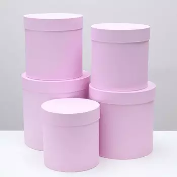 Набор круглых коробок 5 в 1 "Краски", пыльная роза, 25 х 25 х 25 - 19 х 19 х 19 см