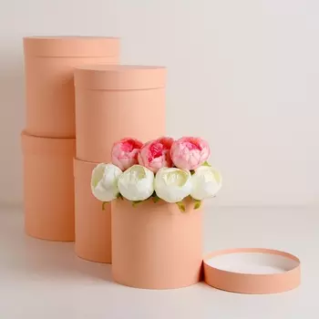 Набор круглых коробок 5 в 1 "Персик", 25 х 25 - 19 х 19 см