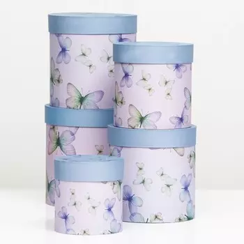 Набор круглых коробок 5в1 "Бабочки", 25 25 15 15 см
